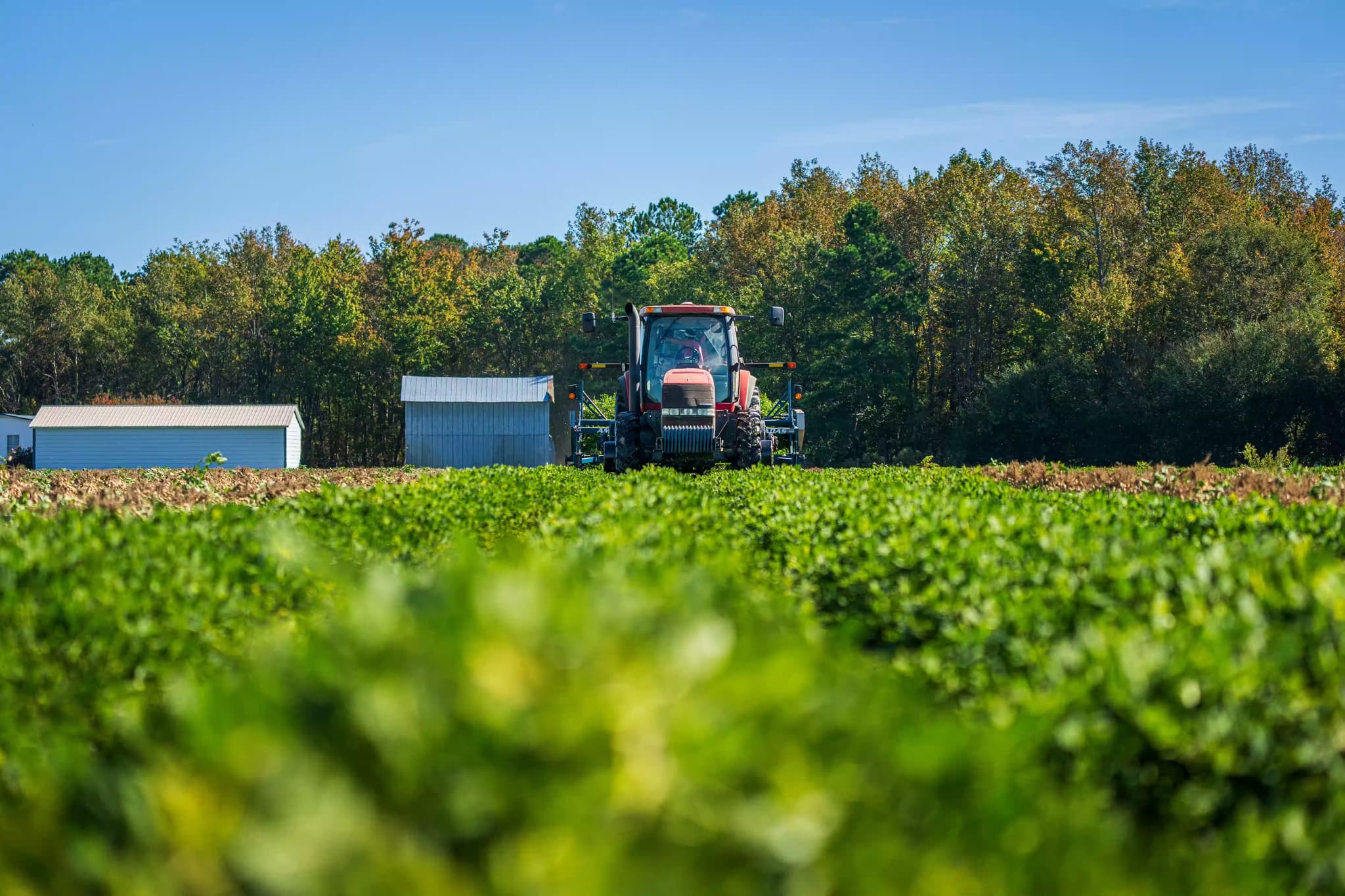 Harvesting